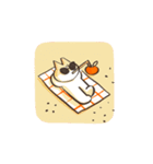 Orange Cat Nori（個別スタンプ：26）