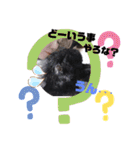 トキと幸せな一日（個別スタンプ：7）