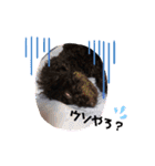 トキと幸せな一日（個別スタンプ：9）