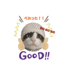 うっしーももぬー（個別スタンプ：5）