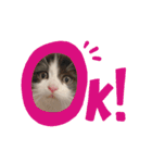 うっしーももぬー（個別スタンプ：7）
