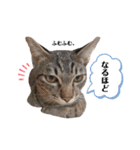 うっしーももぬー（個別スタンプ：9）