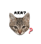 うっしーももぬー（個別スタンプ：10）