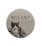 うっしーももぬー（個別スタンプ：11）