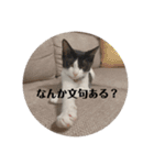 うっしーももぬー（個別スタンプ：24）