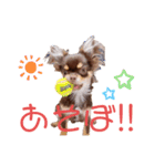 チャックだよ〜（個別スタンプ：1）