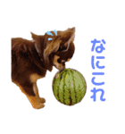 チャックだよ〜（個別スタンプ：2）