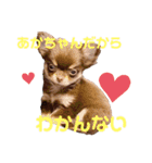 チャックだよ〜（個別スタンプ：3）