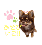 チャックだよ〜（個別スタンプ：4）
