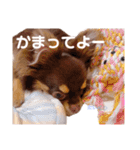 チャックだよ〜（個別スタンプ：7）