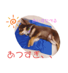 チャックだよ〜（個別スタンプ：14）