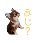 チャックだよ〜（個別スタンプ：18）