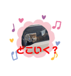 秋田犬の禄三郎（個別スタンプ：4）