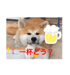 秋田犬の禄三郎（個別スタンプ：7）