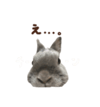 Luluちゃんのシンプルスタンプ（個別スタンプ：5）