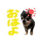 マイコ feat.ナナ（個別スタンプ：2）