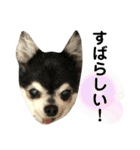 マイコ feat.ナナ（個別スタンプ：5）