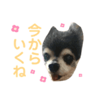 マイコ feat.ナナ（個別スタンプ：6）