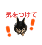 マイコ feat.ナナ（個別スタンプ：12）