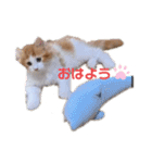 メイくんがいっぱい2（Baby期）（個別スタンプ：3）