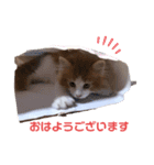 メイくんがいっぱい2（Baby期）（個別スタンプ：6）