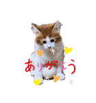メイくんがいっぱい2（Baby期）（個別スタンプ：13）