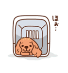 キャバリアルビーの日常スタンプ（個別スタンプ：18）