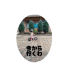 関西弁つんちゃん4お口悪いver（個別スタンプ：7）