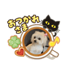 又々又れんとまりん（個別スタンプ：2）