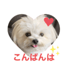 又々又れんとまりん（個別スタンプ：5）