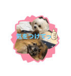 又々又れんとまりん（個別スタンプ：8）