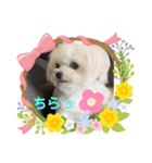 又々又れんとまりん（個別スタンプ：9）