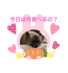 又々又れんとまりん（個別スタンプ：13）