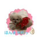 又々又れんとまりん（個別スタンプ：14）