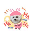 又々又れんとまりん（個別スタンプ：15）