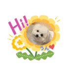 又々又れんとまりん（個別スタンプ：16）