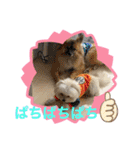 又々又れんとまりん（個別スタンプ：18）