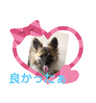 又々又れんとまりん（個別スタンプ：19）