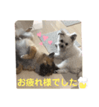 又々又れんとまりん（個別スタンプ：22）