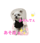又々又れんとまりん（個別スタンプ：26）