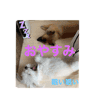 又々又れんとまりん（個別スタンプ：27）