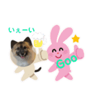 又々又れんとまりん（個別スタンプ：30）