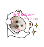 又々又れんとまりん（個別スタンプ：36）