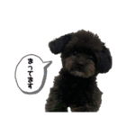 おまめくん④（個別スタンプ：12）