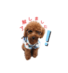 角田ラキちゃん（個別スタンプ：3）