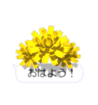 スマホの上の花と風《Ver. 05》（個別スタンプ：5）