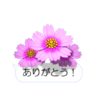 スマホの上の花と風《Ver. 05》（個別スタンプ：11）