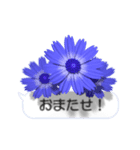 スマホの上の花と風《Ver. 05》（個別スタンプ：12）