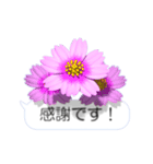 スマホの上の花と風《Ver. 05》（個別スタンプ：15）