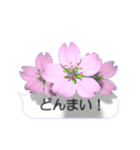 スマホの上の花と風《Ver. 05》（個別スタンプ：24）